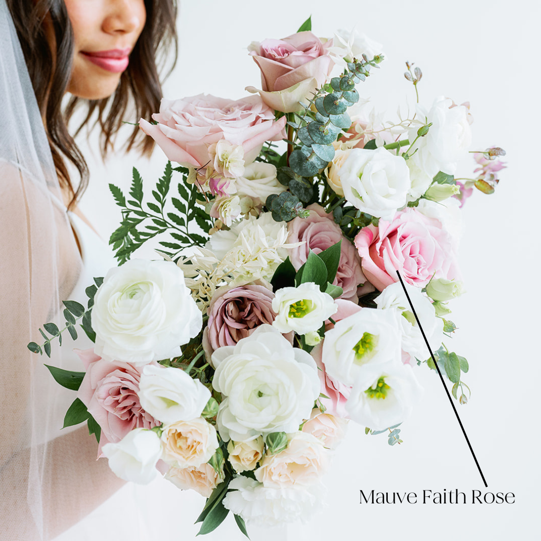 bulk mauve faith roses