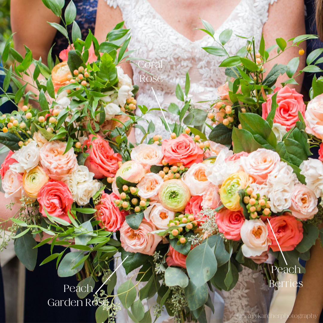 bulk coral roses