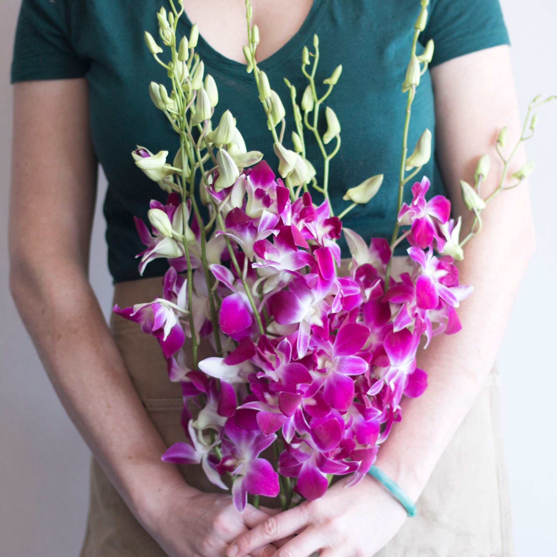 bulk pink dendrobium orchid