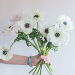 white anemone flower