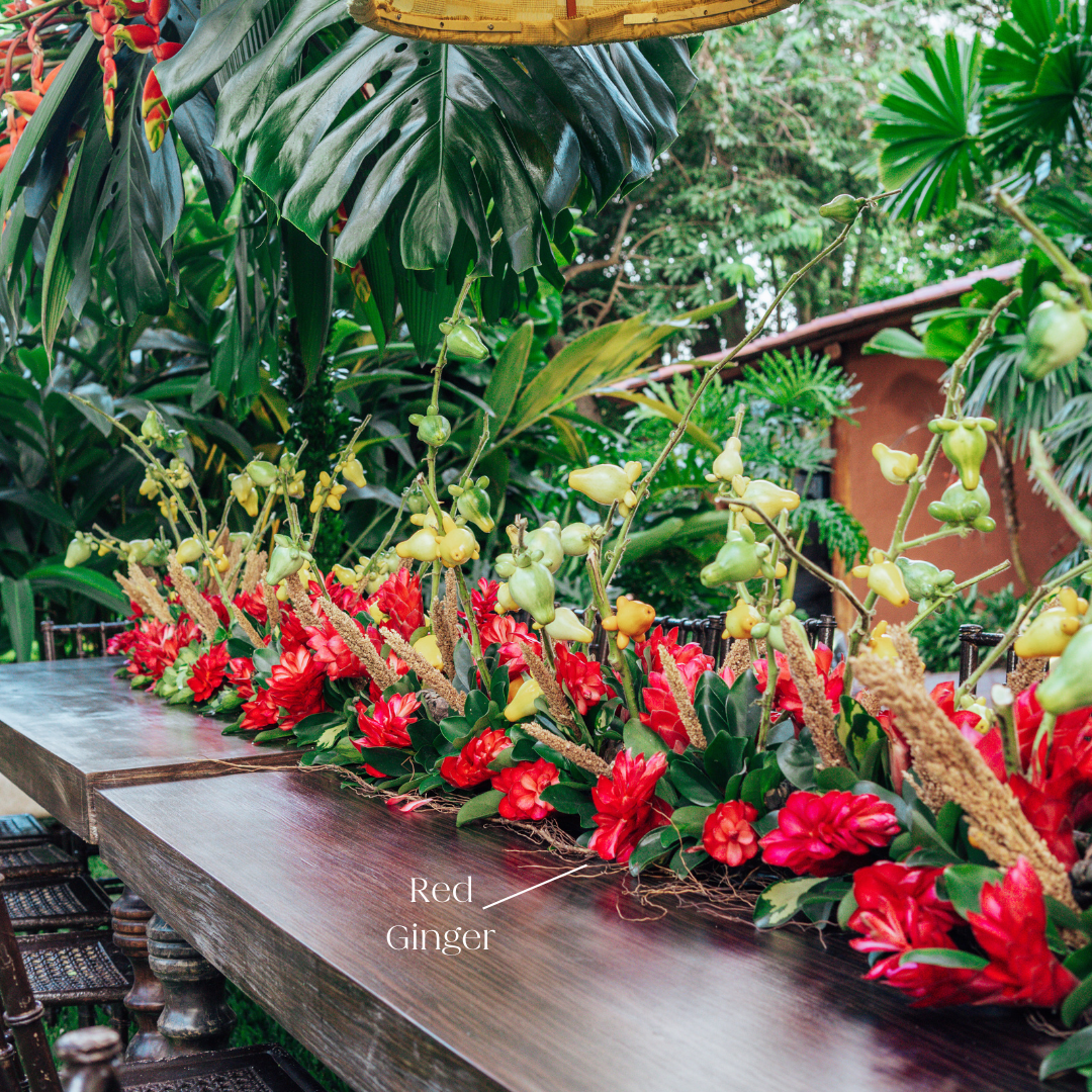 bulk red ginger tropical flowers