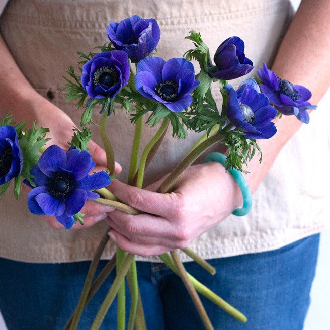 bulk blue indigo anemone flowers