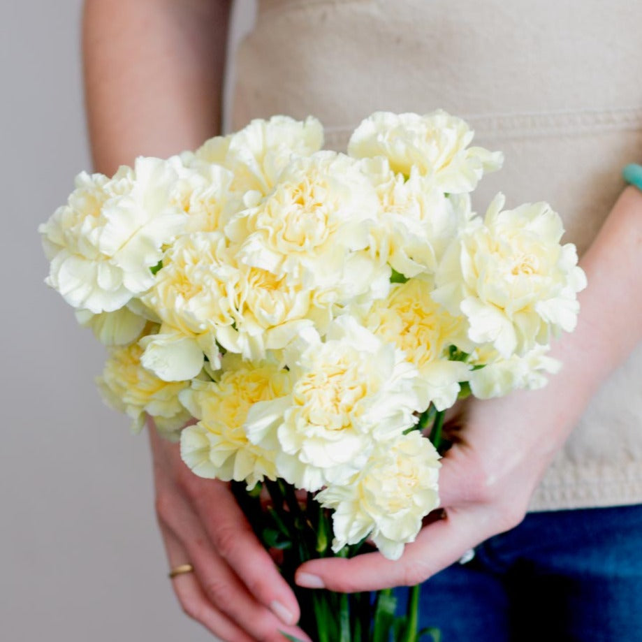 bulk yellow carnations