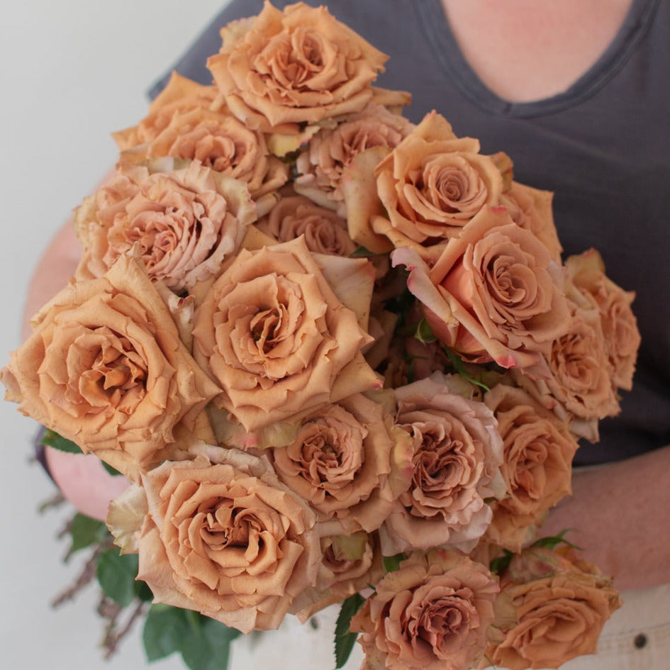 brown toffee rose