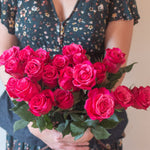 bulk cherry o bicolor roses