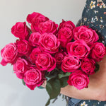 bulk cherry o bicolor roses