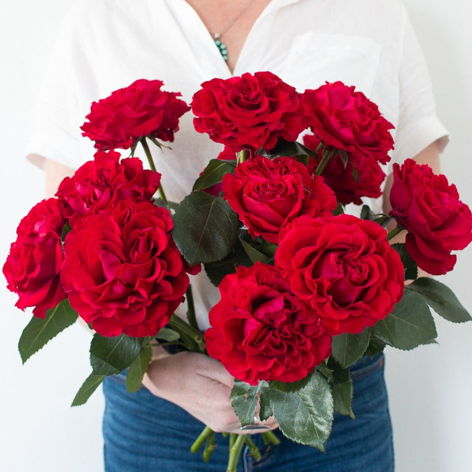 bulk red garden roses