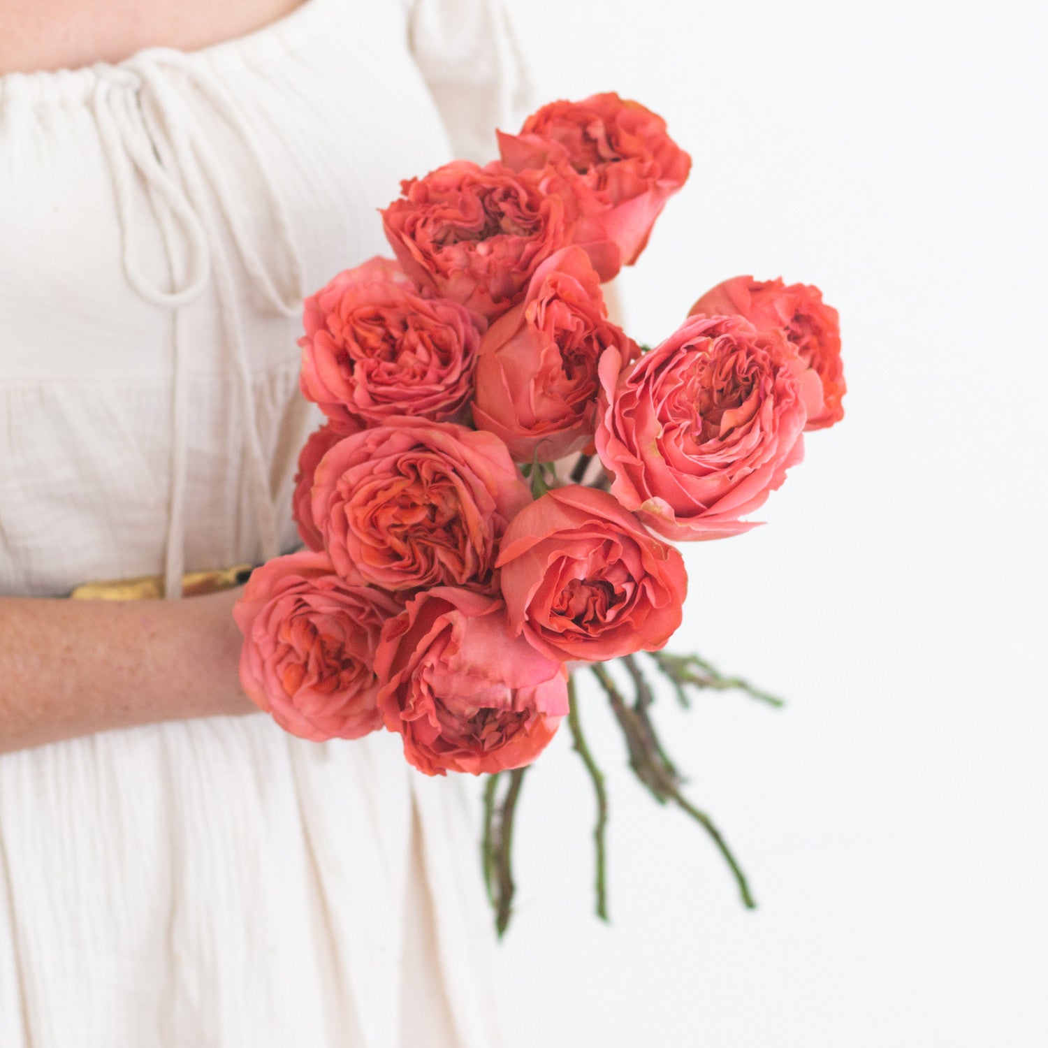 bulk coral garden roses