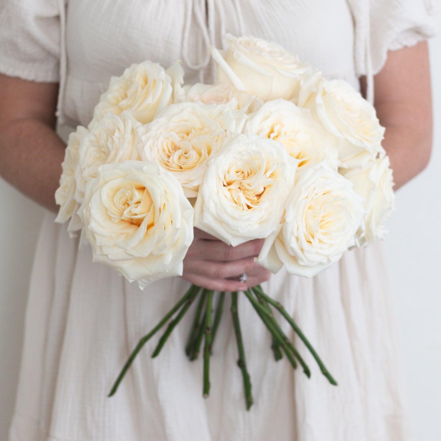 bulk white garden roses