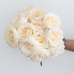 bulk white garden roses