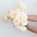 bulk white garden roses