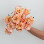 bulk peach shimmer roses