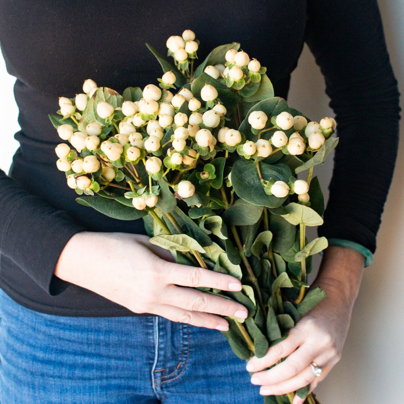 bulk cream hypericum berries