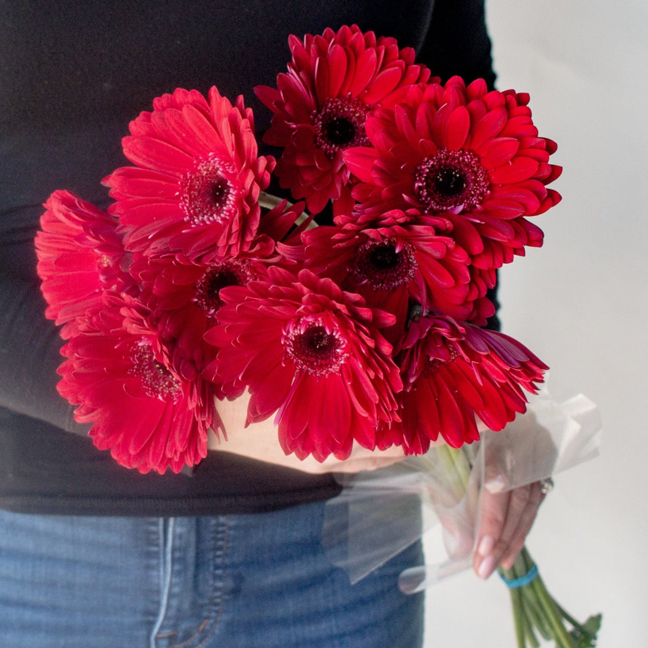 bulk gerbera daisies