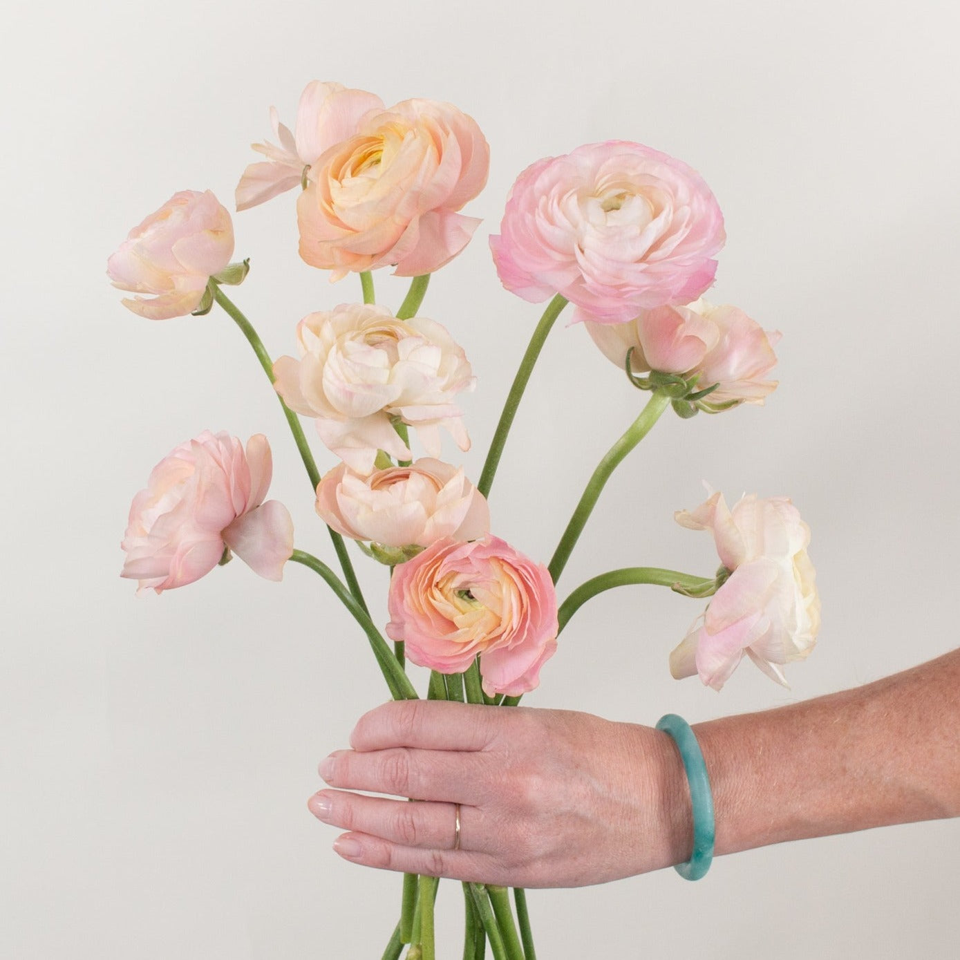 peach ranunculus flower