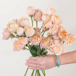 Bulk Peach Spray Roses