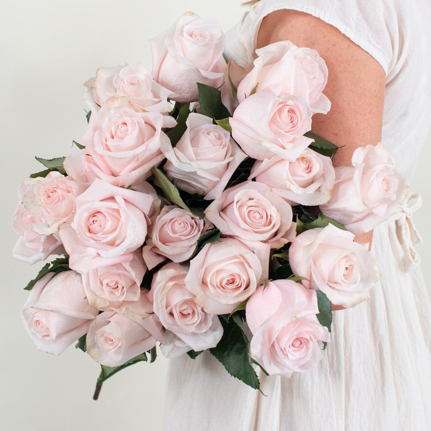 light pink/blush roses