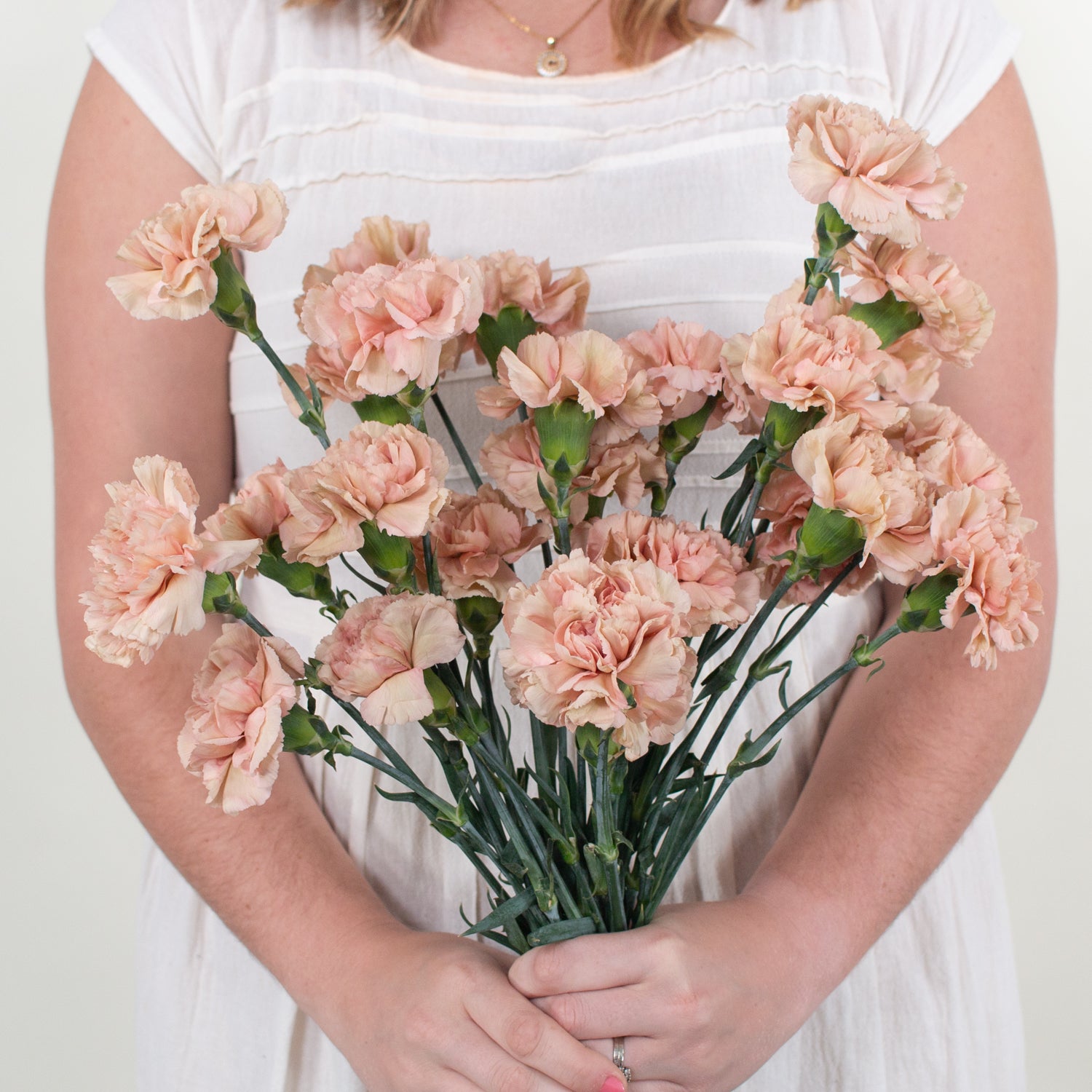 terracotta carnation flower