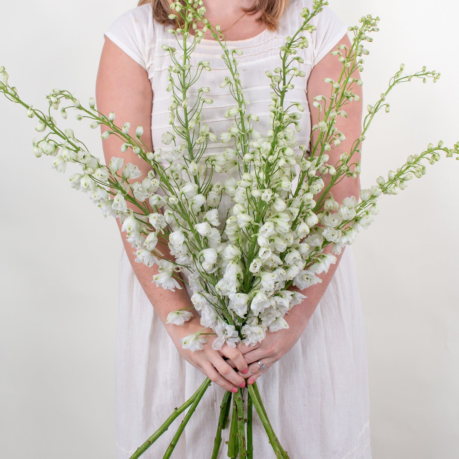 Bulk White Delphinium Flower