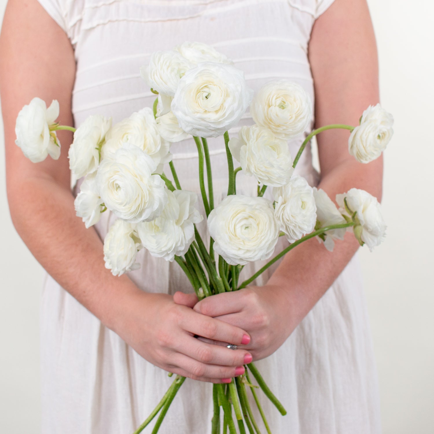 white ranunculus flower