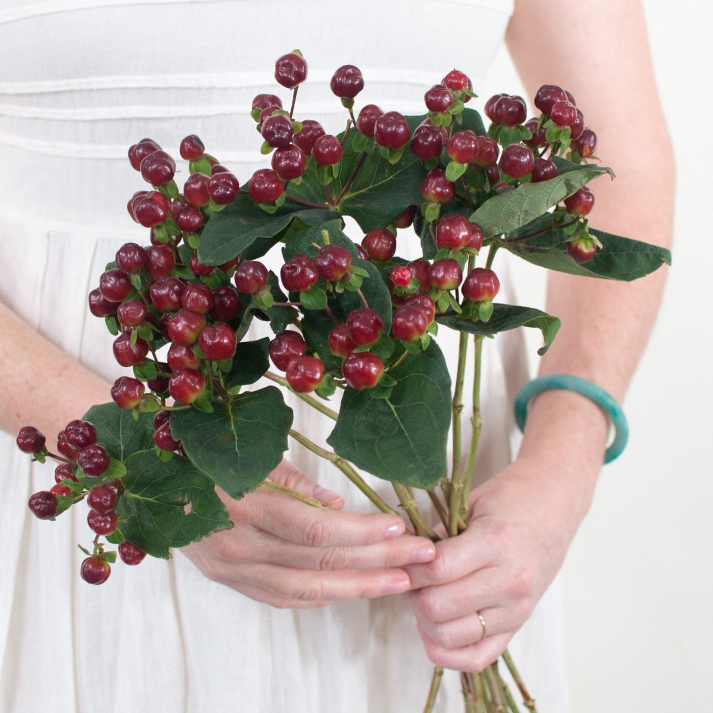 ulk Burgundy Hypericum Berries