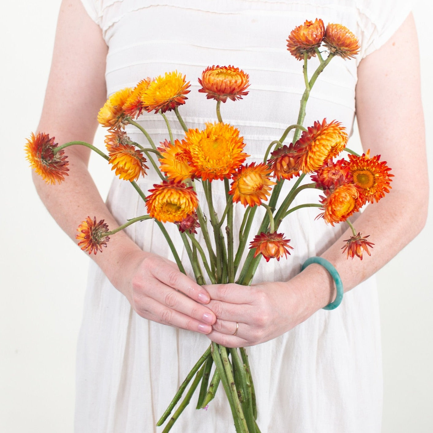 Bulk Sunset Strawflower