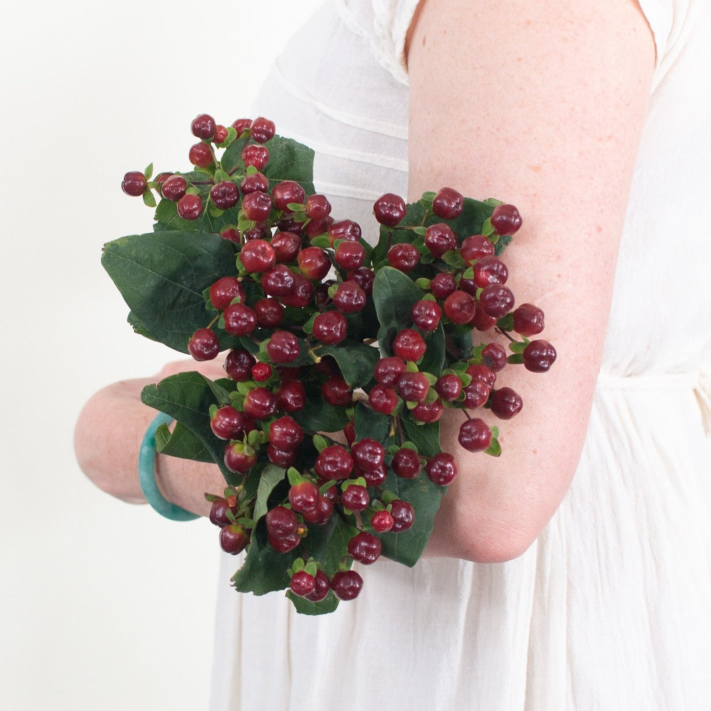 bulk Burgundy Hypericum Berries