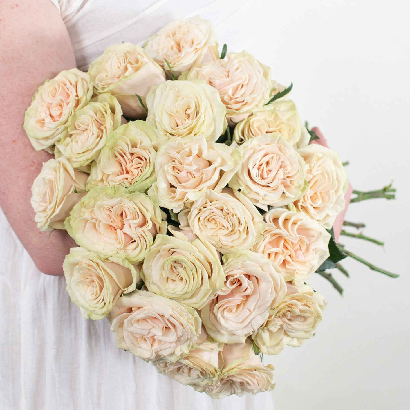 Beige and Cream Bulk Wedding Flowers - Beige Blush Roses – DaisyDIYFlowers