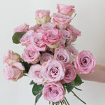 bulk mauve faith roses