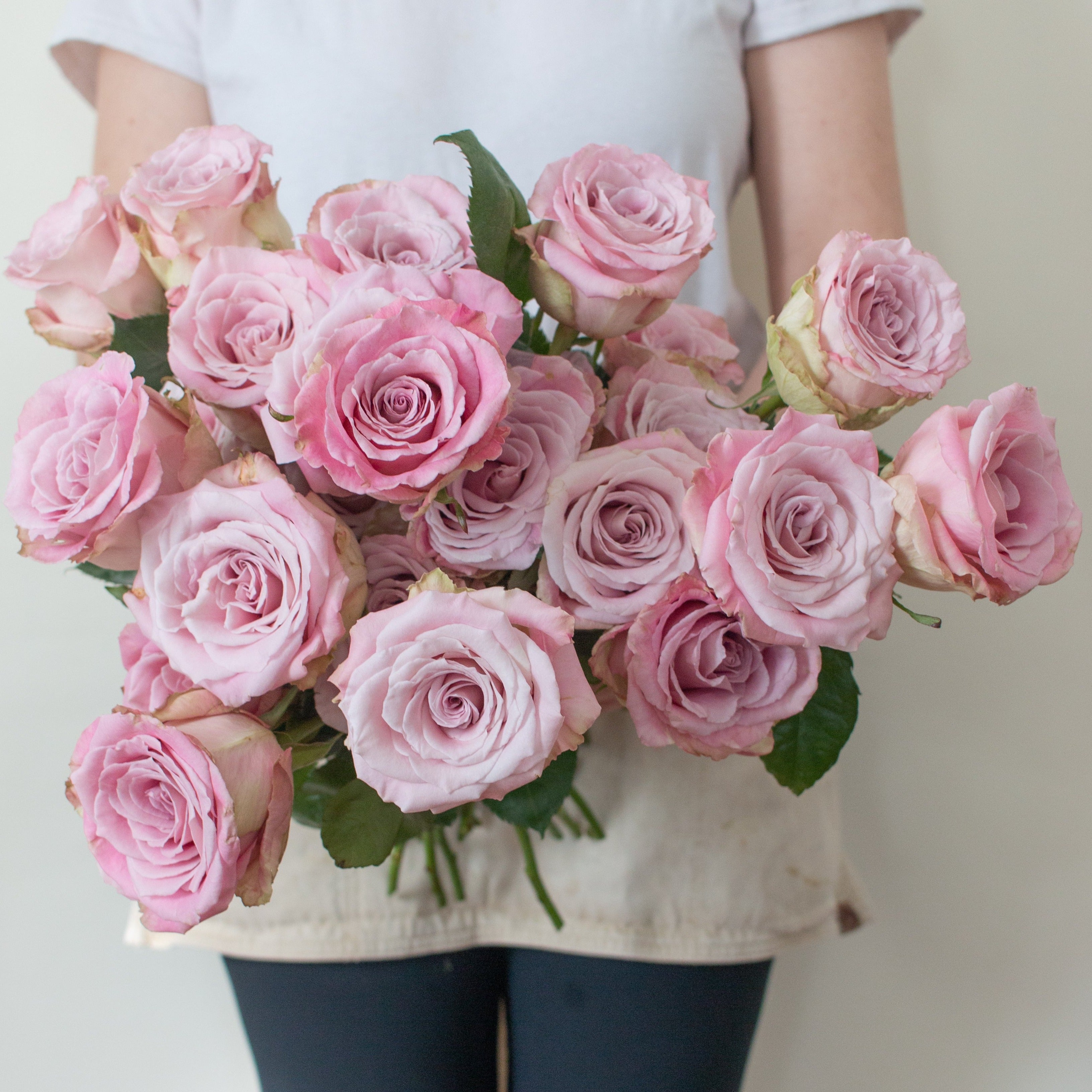 bulk mauve faith roses