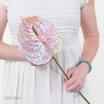 Abalone Iridescent Anthurium by Petal Icon