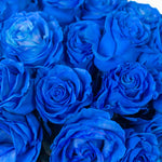 bulk blue rose