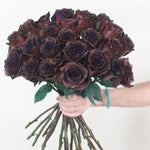 bulk brown rose