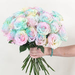 bulk rainbow pastel rose