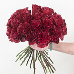 bulk red rose