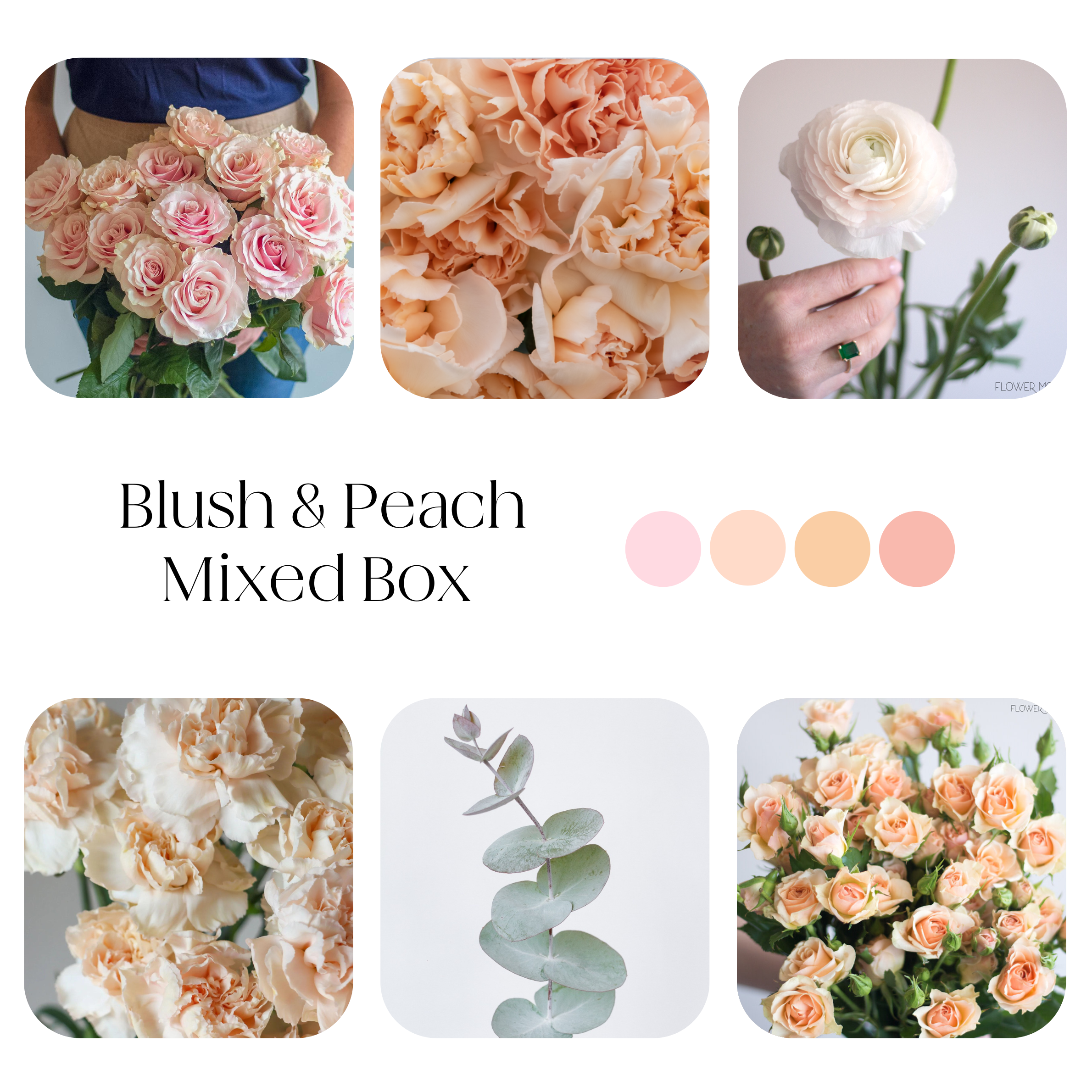 blush and peach mixed diy flower kit