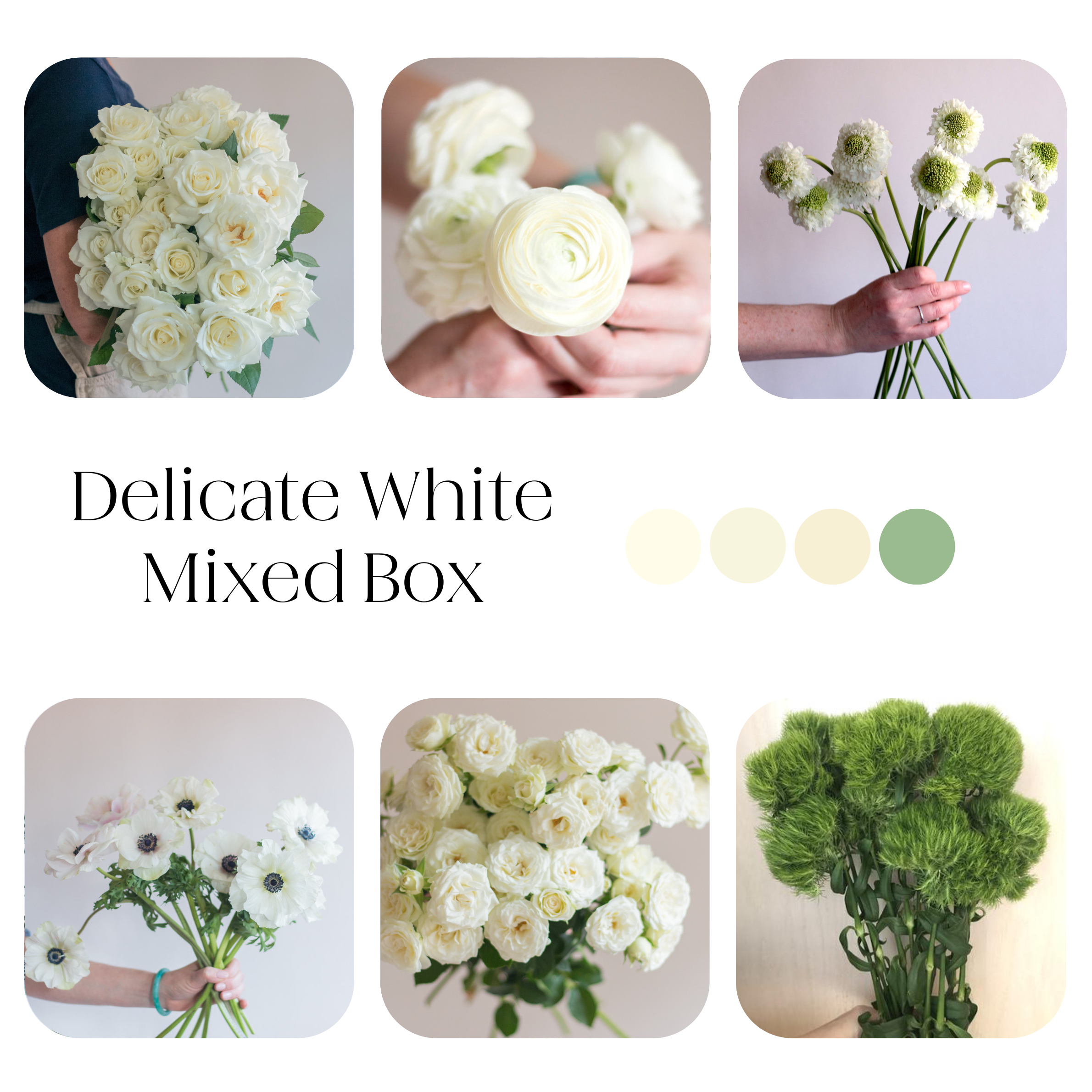 delicate white diy flower box