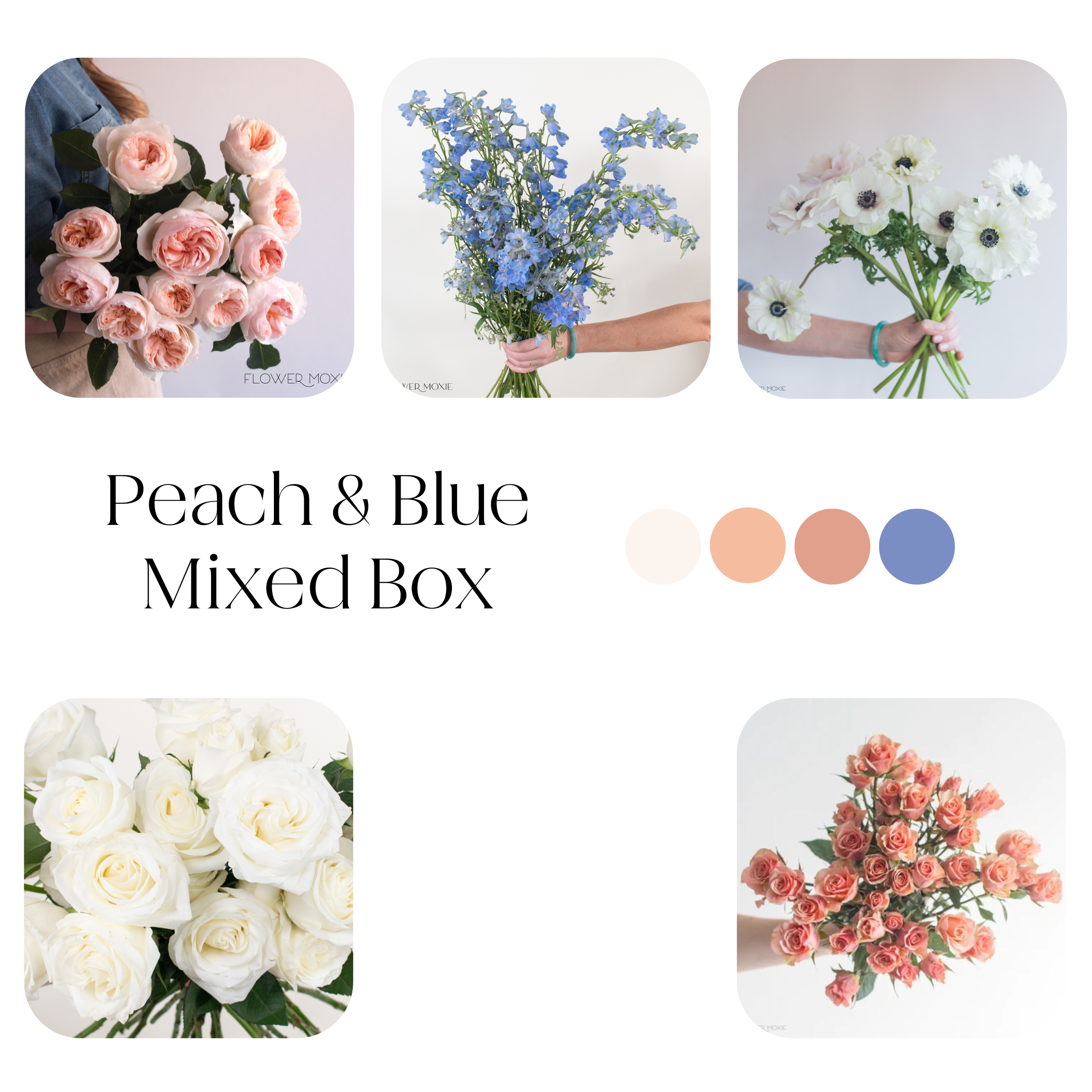peach and blue mixed diy flower kit