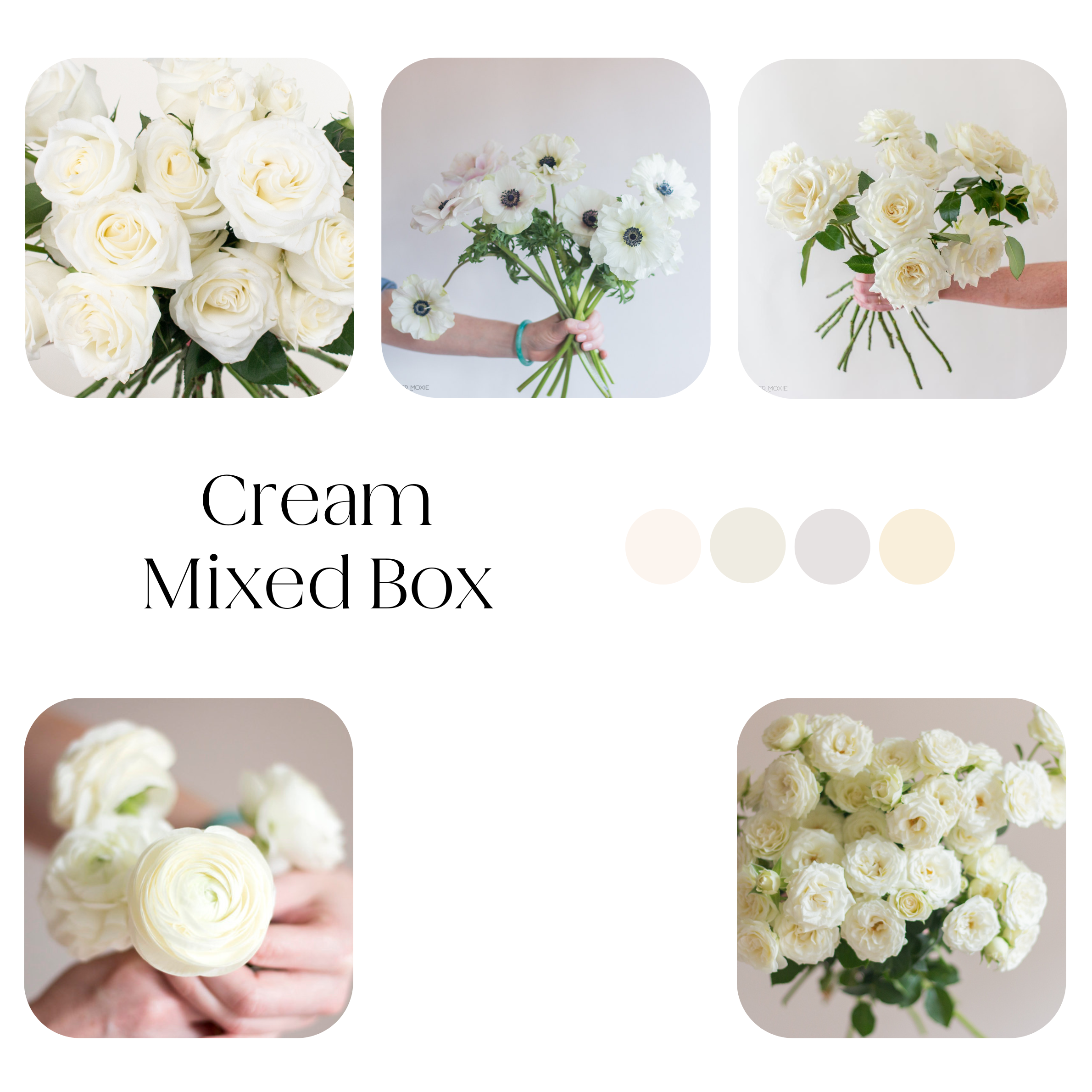 cream colored mixed diy flower box