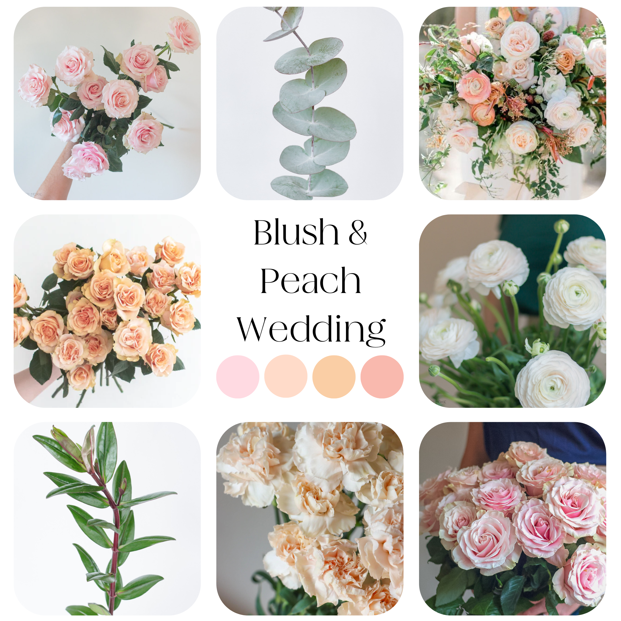 blush and peach palette diy wedding flowers kit