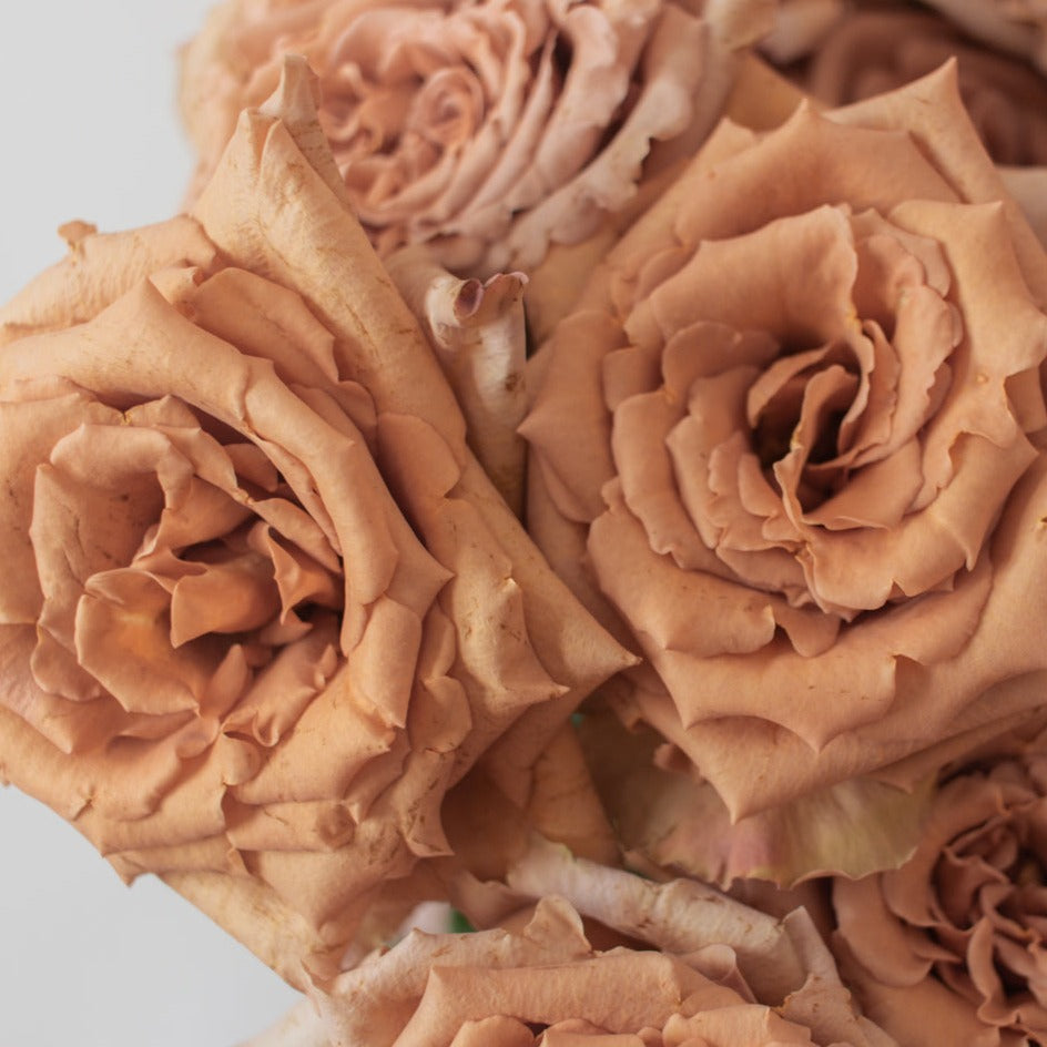 bulk brown toffee roses