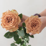 bulk brown toffee roses