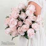 blush roses by petal icon