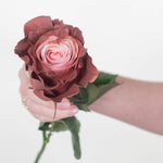 Painted and Dyed Dipped Berry Novelty Rose