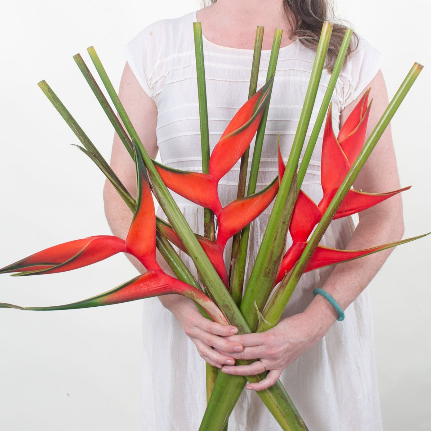 Bulk Red Iris Heliconia