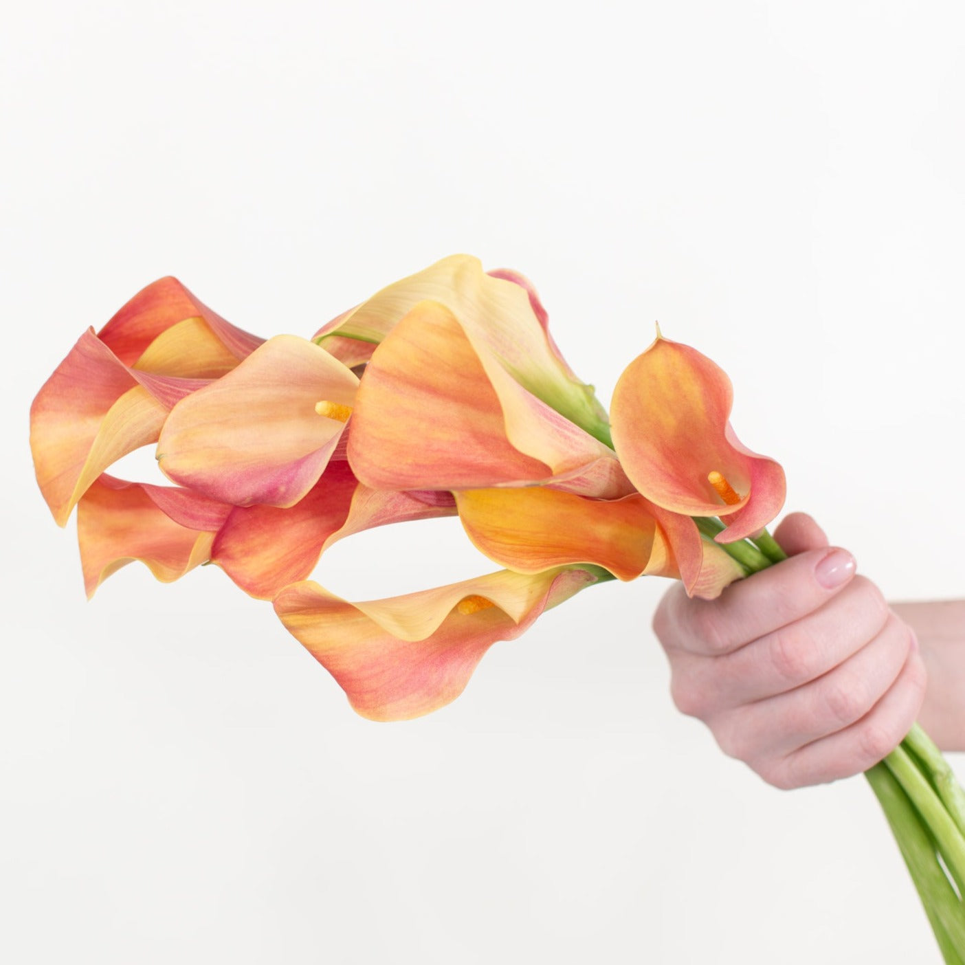 Bulk Orange Mini Calla Lily