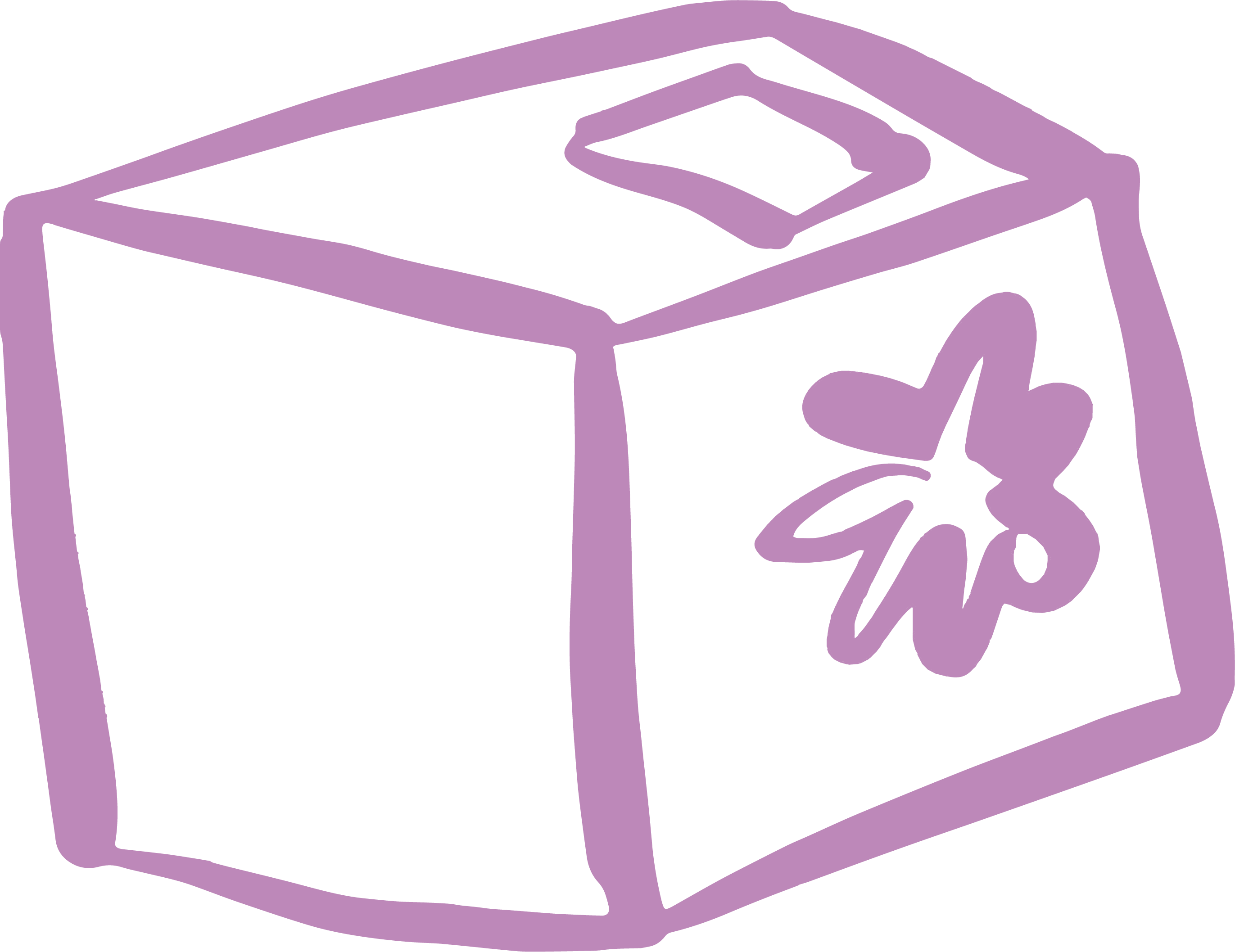 Petal Icon Fresh Flower Bouquets and Fresh Party Flower Kits