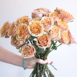 bulk golden mustard garden roses