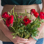 bulk red ranunculus