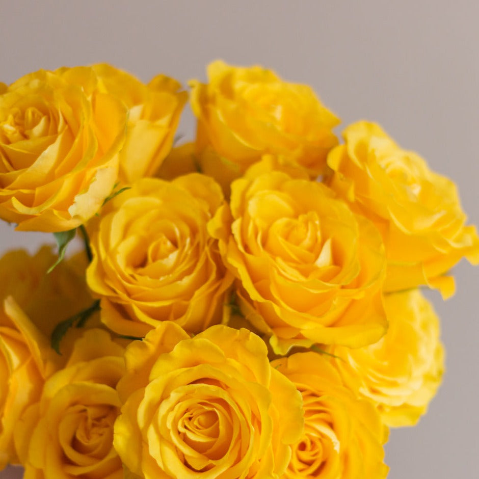 bulk yellow roses